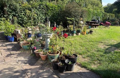 Cleedownton Apartment | Charming 1-Bed Studio Near Lickey Hills in Birmingham