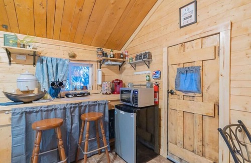 Fairbanks Cabin | Discover Raven's Keep: Dry Cabin with Aurora Views
