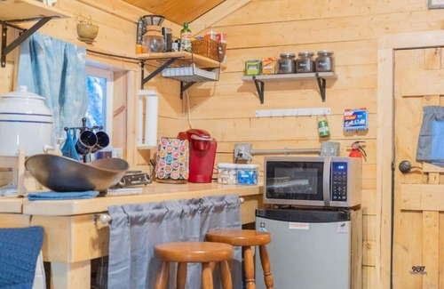 Fairbanks Cabin | Discover Raven's Keep: Dry Cabin with Aurora Views
