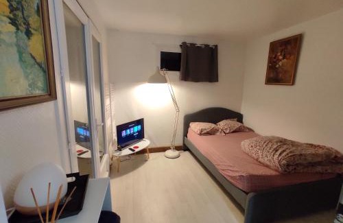 Merignac Apartment | Cozy Studio Marjorie - Poolside Retreat in a Private Home