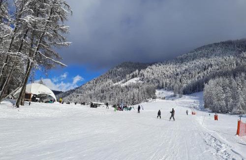 Saint-Leger-les-Melezes Apartment | Cozy Mountain Studio for Families - Rated 8.7/10
