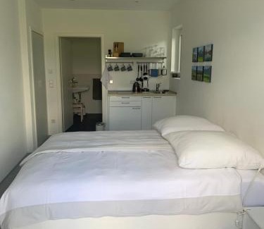 Grosswell Apartment | Alpine View Studio: Guest Rated 8.7/10 with Oceanfront Access