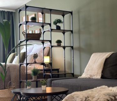 Engelberg Apartment | Studio mit Bergblick Titlis, Luzern, Pilatus, See