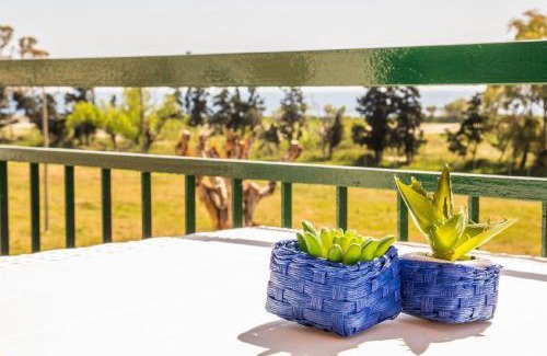 Porticato Apartment | Cozy Apartment for 3 in Chianchitta-Pallio, Sicily