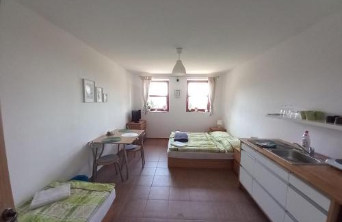 Cerny Dul Apartment | Charming Studio na horách: Pet-Friendly Retreat with Hot Tub
