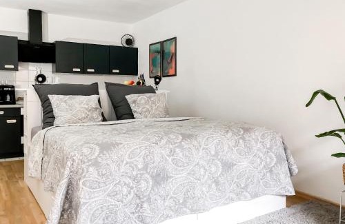 Wuerzburg Apartment | Comfortable Studio near Altstadt with Workspace & Art
