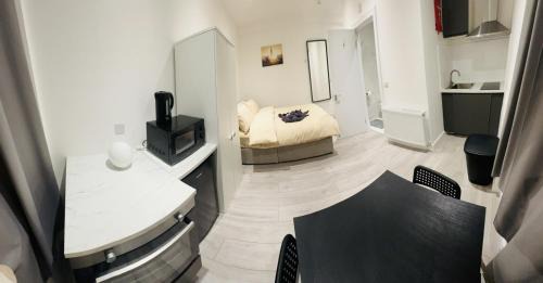Magherafelt Apartment | Convenient Studio Steps from London's Iconic Big Ben