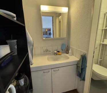Alt-Wiedikon Apartment | Studio next to Sihlcity!