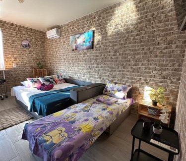 Jasienow Apartment | Studio on Pestelya street