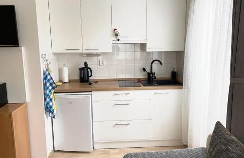 Rokytnice nad Jizerou Apartment | Bright Studio Paula: Family-Friendly & Wheelchair Accessible