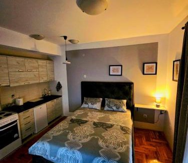 Podgorica Apartment | Pet-Friendly Apartments in Podgorica with Breakfast Included