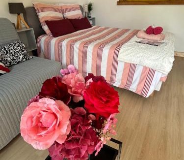 Francueil House | Cozy Studio Near Beauval and Loire Valley Castles