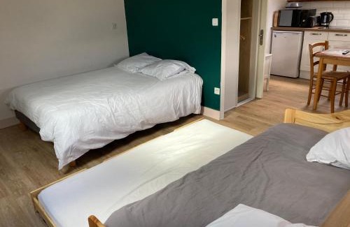Saint-Jean-le-Blanc Apartment | Cozy Studio Near Orleans Center with Pet-Friendly Amenities