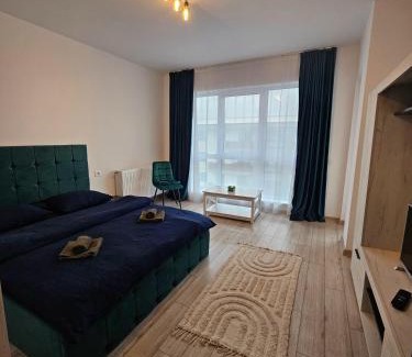 Rasnov Apartment | Studio Râșnov VMP Free Parking