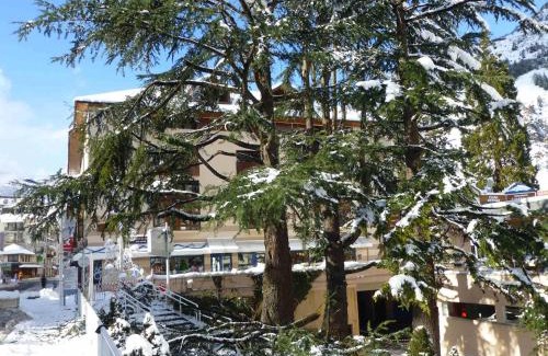 Brides-les-Bains Apartment | Cozy Studio with Balcony, WiFi & Spa Near Brides-les-Bains