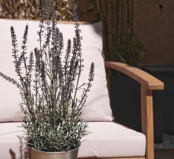 Grand Sud Apartment | Modern Studio with Gorgeous Terrace & Family-Friendly Amenities