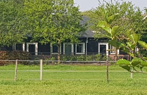 Hoogerheide House | Highly Rated Studio Rent Jamzes for Your Perfect Stay