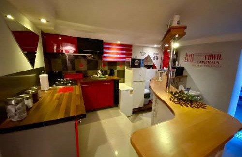 Spytkowice Apartment | Explore Studio Roxi: Child-Friendly with Kitchen Amenities