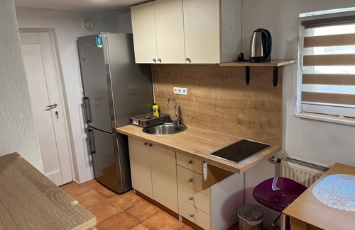 Moste Apartment | Cozy Studio with Kitchen & Child-Friendly Amenities