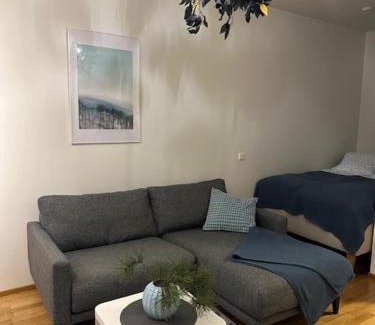 Rovaniemi Apartment | Studio Sini