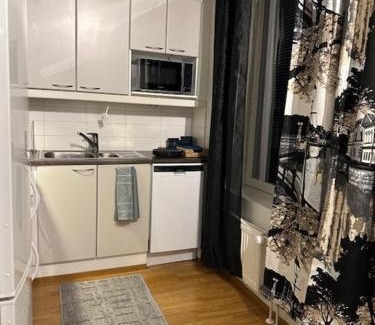 Rovaniemi Apartment | Studio Sini