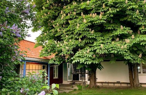 Hvaler House | Modern Studio Solbakke: Top-Rated & Family-Friendly Stay