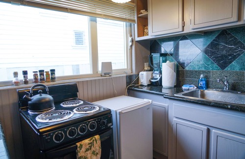 Astoria Condo | Cozy Studio with Panoramic River View - Pet Friendly Stay