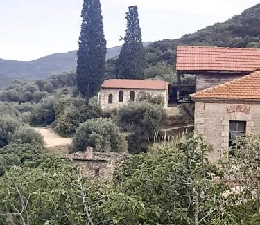 Sarti Apartment | Top-Rated Studio Wilem with Kitchen for Unforgettable Stays