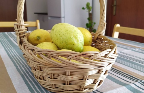 Vila Real Apartment | Cozy 2-Bedroom Studio in the Beautiful Douro Region
