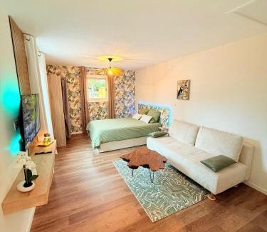 Villerest Apartment | Studio with private spa, close to golf and lake