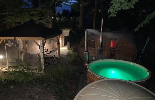 gmina Debowiec Apartment | Studio z kominkiem z leśną sauną i jacuzzi i basenem do morsowania w okolicy Cieszyn i Wisła i Ustron