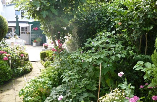 Colijnsplaat Bed & Breakfast | Cozy Studio "Zo maar" with Delicious Breakfast Included