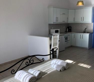 Lipsoi Hotel | Inviting Studios Angela Port: Oceanfront & Pet Friendly