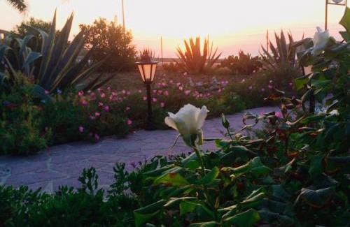 Petra Apartment | Guest Rated 9/10: Studios Stefani with Ocean View Amenities