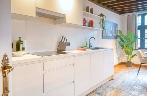 Patershol Apartment | Inviting 2-BR Apartment with Kitchen in Ghent