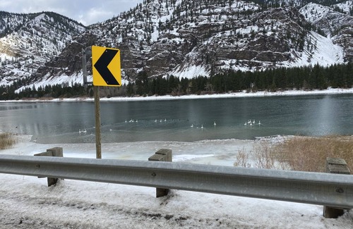Thompson Falls RV Rental | Discover Riverfront Bliss: Pet-Friendly Near Quinn’s Hotsprings