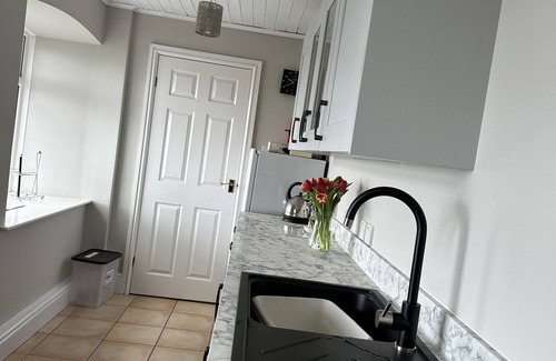 New Quay Apartment | Seaside Escape: Watch Dolphins from Your Beachfront Apartment