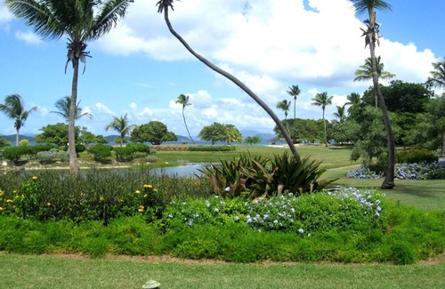 Red Hook Condo | Prime Location on Beautiful Sapphire Beach with Ocean Views