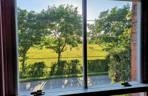New Forest District Cottage | Charming New Forest Cottage Near Paultons Park & Peppa Pig World