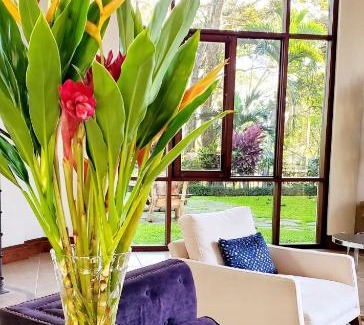 Pan de Azucar House | Enchanting Getaway with Pool, Hot Tub & Family-Friendly Fun