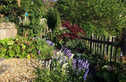 Wirksworth Cottage | Scandinavian Boutique Cottage with Ocean Views & Spa Retreat