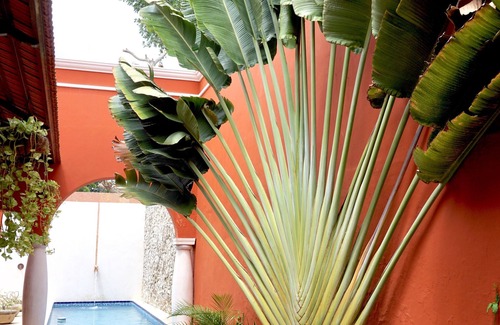 Centro House | Elegant Retreat with Ocean View and Spa in El Centro