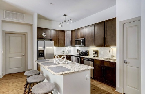 Texas Medical Center Apartment | Trendy 2 BR Retreat in Med Center, Close to NRG Stadium