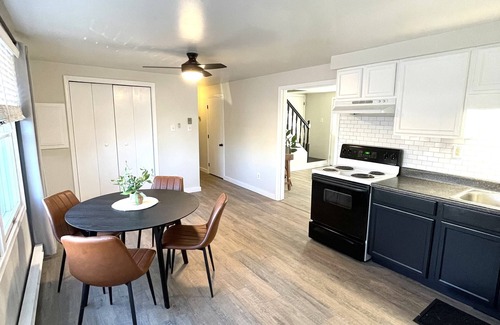 Carbondale House | Modern 3 BR House in Downtown Carbondale with Fenced Yard