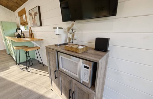 Lake City Cabin | Stylish Cabin - Nearby Springs