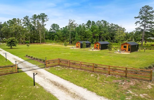 Lake City Cabin | Stylish Cabin - Nearby Springs