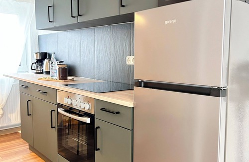 Dessau-Rosslau Apartment | Stylish city loft in Dessau