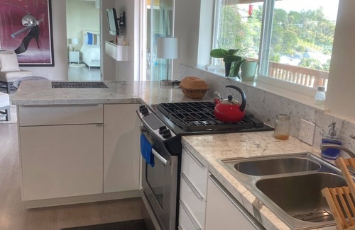 Greenbrae Apartment | Stylish Larkspur Retreat with stunning views & Amenities