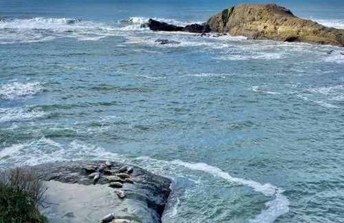 Depoe Bay House | Seaside Retreat: Oceanfront Cottage by Pirate Cove