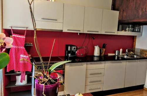 Centrul Vechi Apartment | Chic Studio Kronstadt: Family-Friendly with Kitchen Access